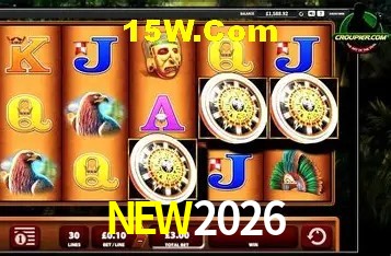 NEW2026 — tela de confirmação de transferência PIX de entrada